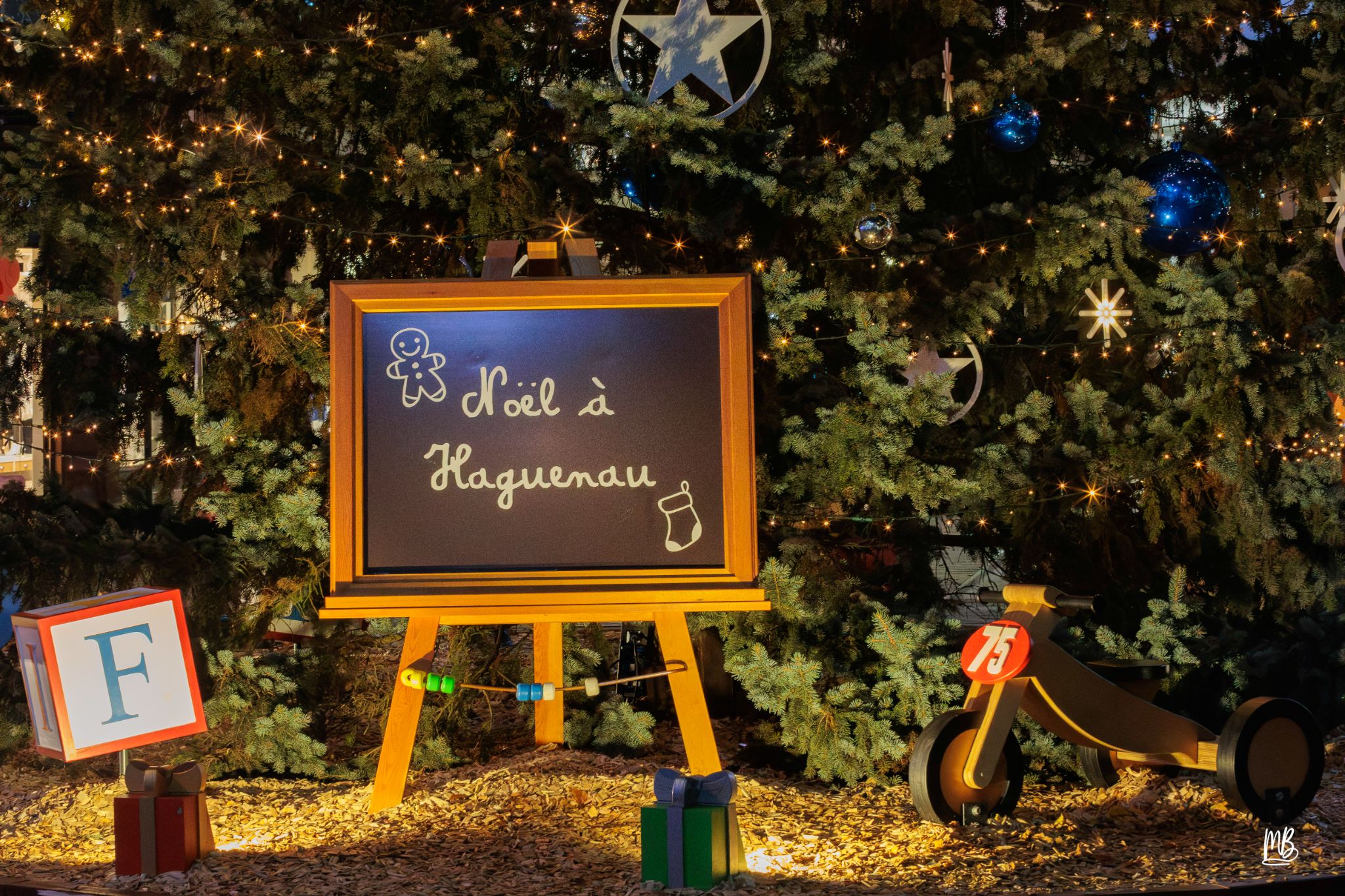 20241129 Noël à Haguenau MB (84 sur 114)